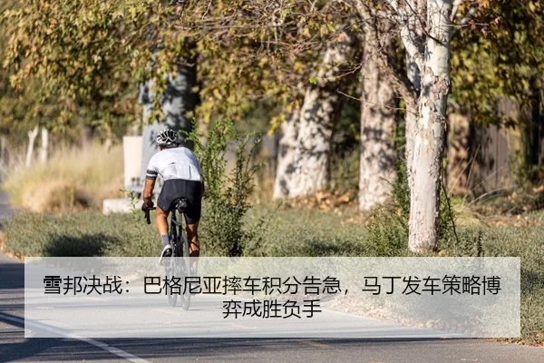 雪邦决战：巴格尼亚摔车积分告急，马丁发车策略博弈成胜负手